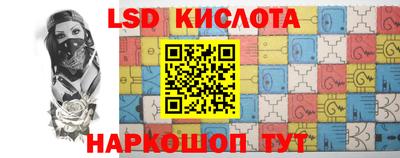PSILOCYBIN Краснодар