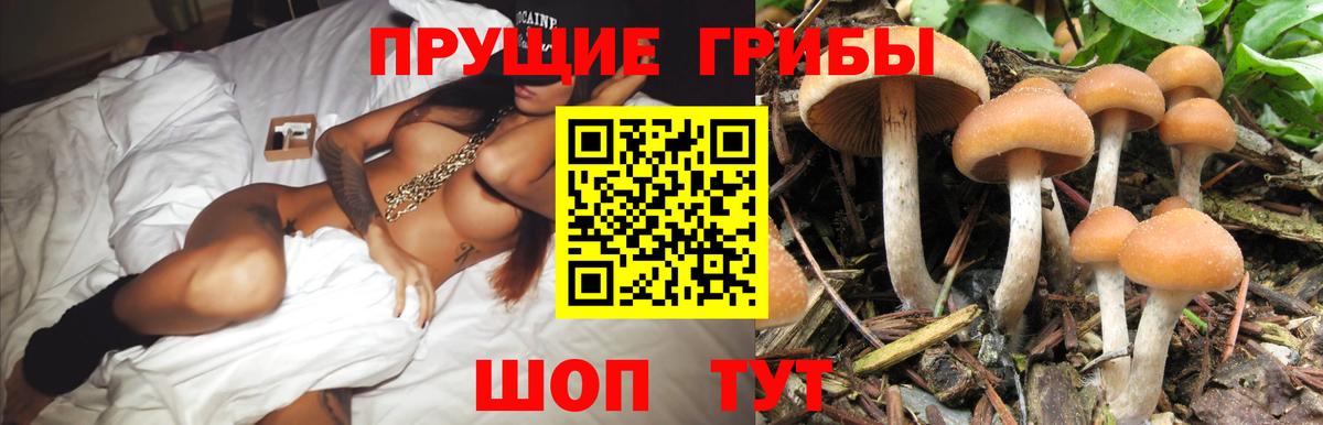 Избербаш  Псилоцибиновые грибы мицелий  Вход с VPN 